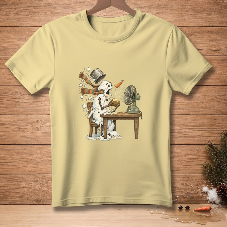 Melting snowman sits at a table with a fan, text "SOLVED IT".